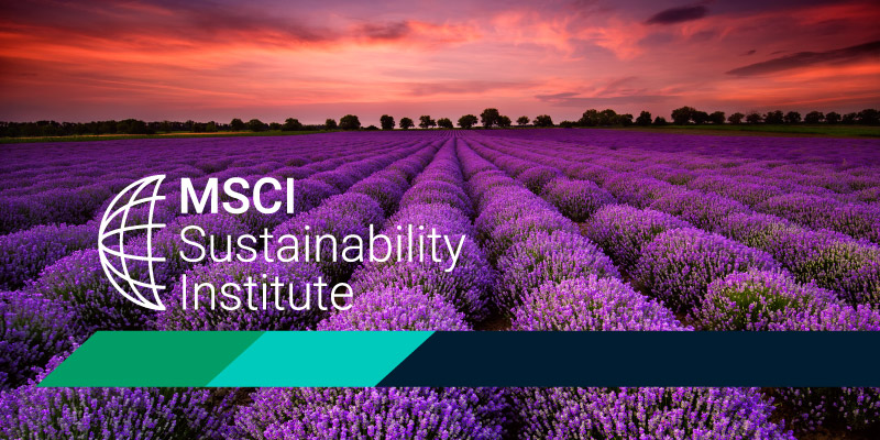 MSCIがサステナビリティ研究所を設立。ESG投資や学術など専門家が参考となる知見を提供