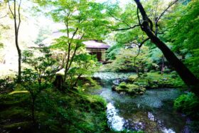「カーボン・オフセット」で環境に優しい旅を！株式会社日本旅行が提案するSDGsな旅