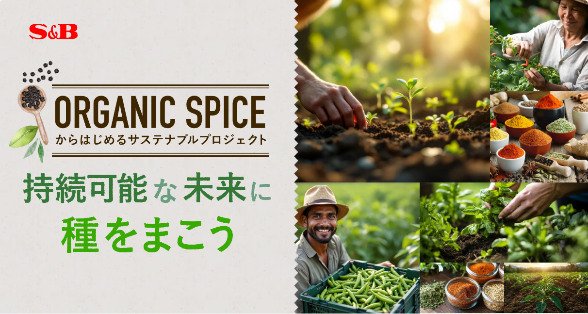 スパイスやハーブの産地を支える１アクション！エスビー食品がサステナブルプロジェクト「持続可能な未来に種をまこう」を実施中