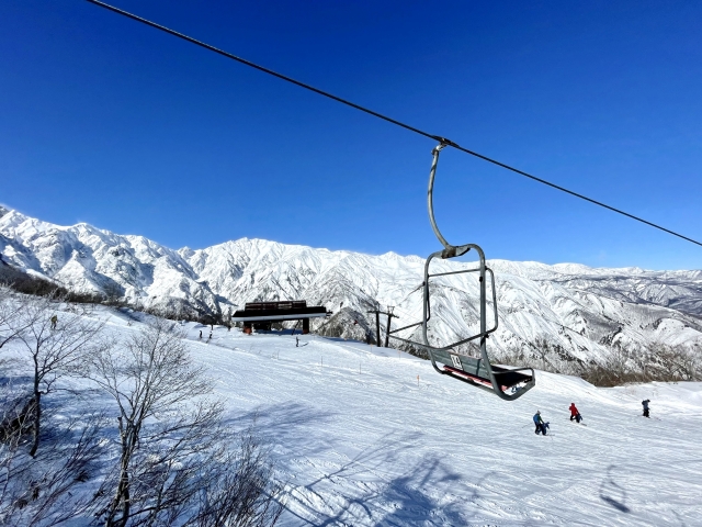 全国46スキー場が脱炭素・サステナブル化推進！再エネ導入・森林整備・食の見直し・環境教育プログラムなどの多様な取り組み