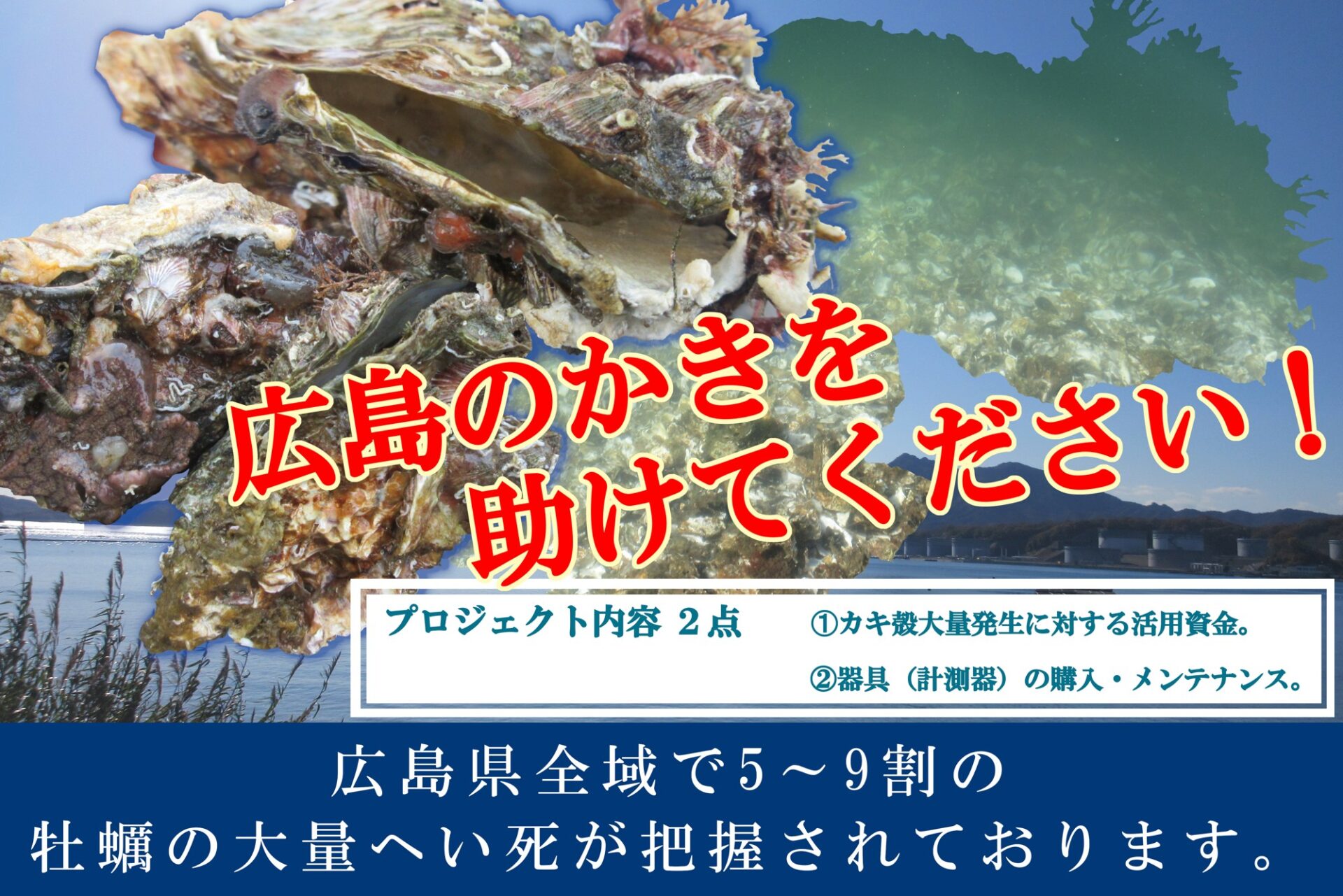 広島の牡蠣を助けて！」広島県漁協、牡蠣の大量へい死を受けクラウド 