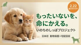‟猫の日”2月22日より保護犬猫支援を開始　不用品の売上の一部をに寄付する「いのちのしっぽプロジェクト」